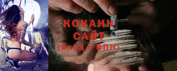 сатива Балахна