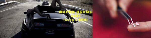 сатива Балахна