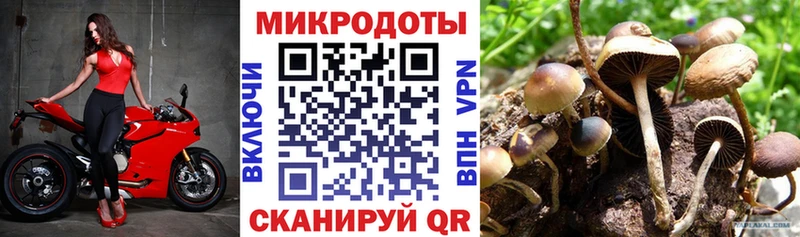 наркотики  Солигалич  Галлюциногенные грибы Psilocybine cubensis 